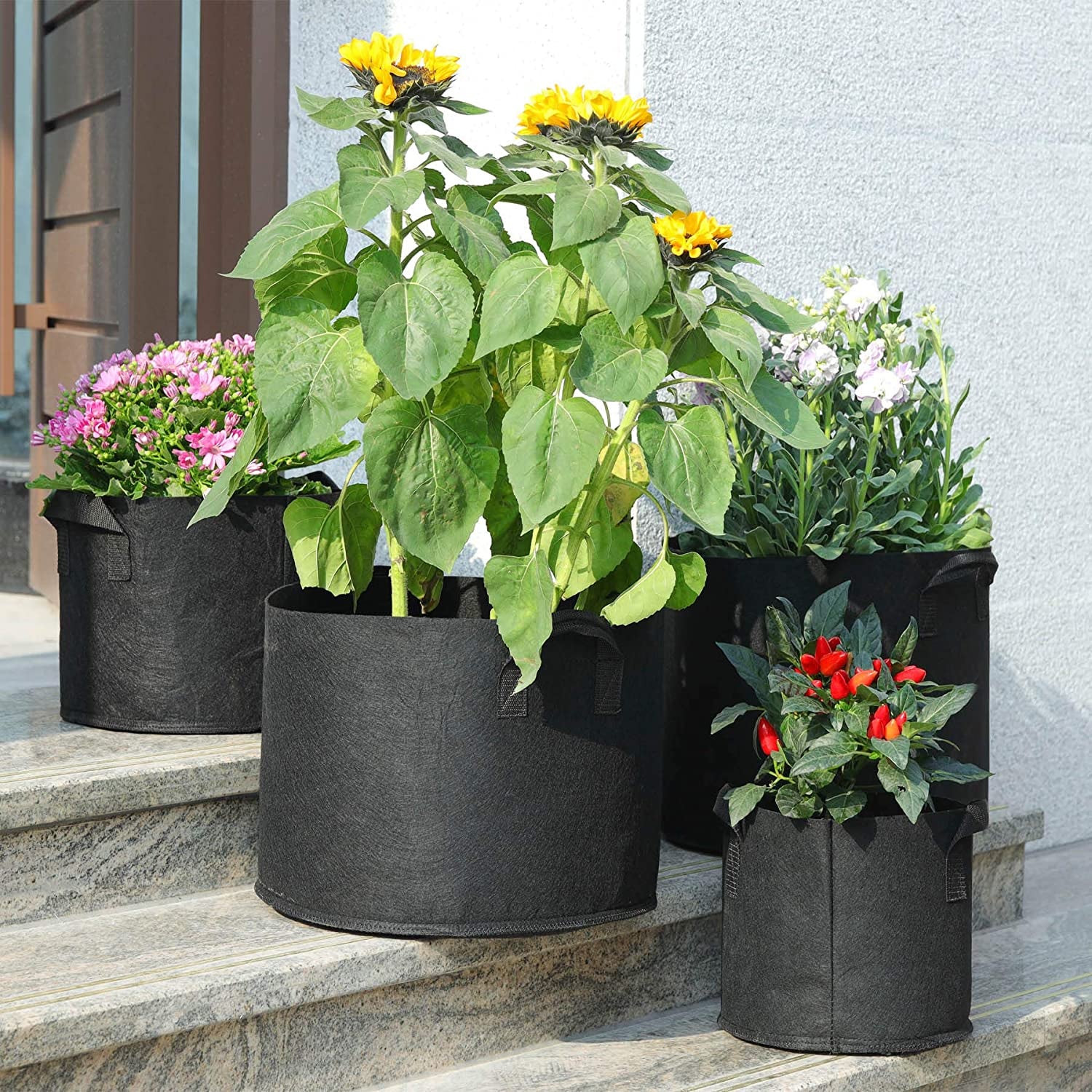 Fabric Plant Grow Bags with Handles 10 Gallon Pack of 5, Heavy Duty Nonwoven Smart Garden Pot Thickened Aeration Nursery Container Black for Outdoor Potato, Tomato, Chili, Carrot and Vegetables