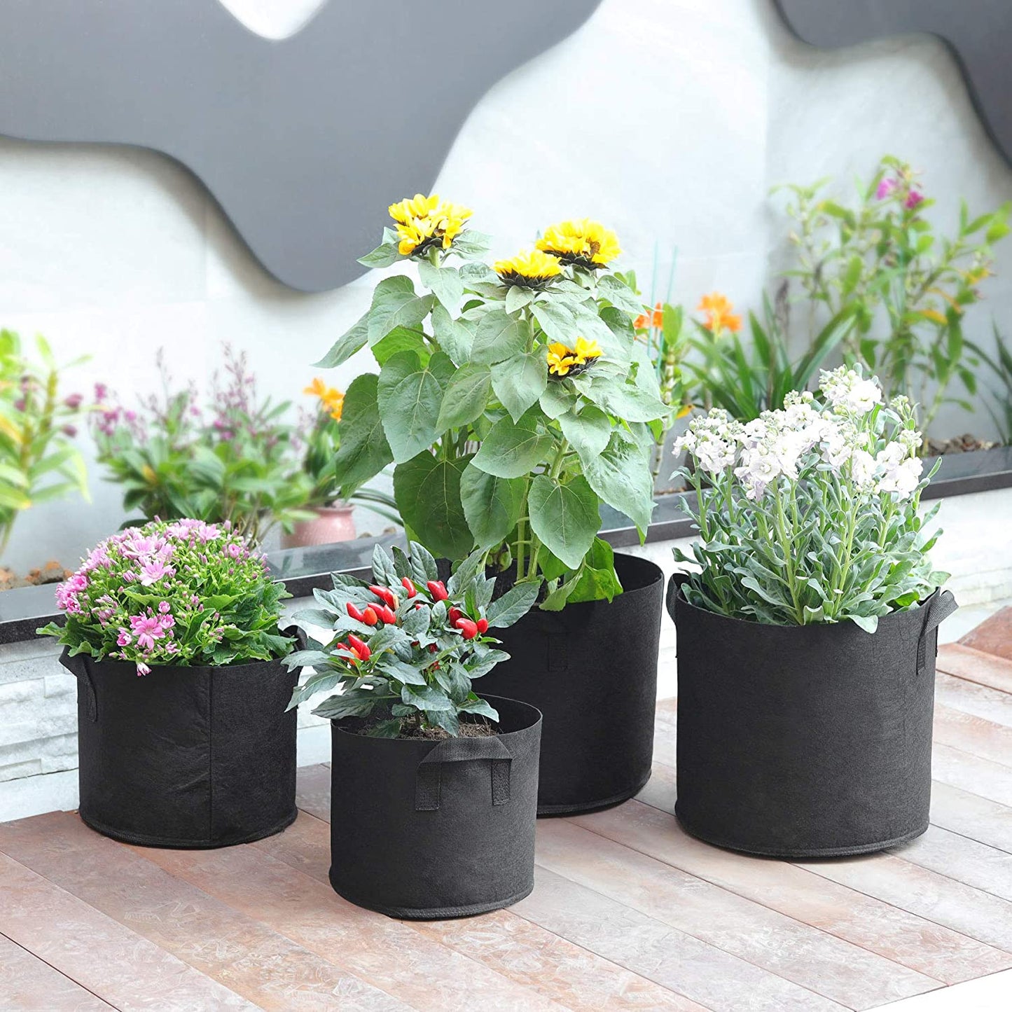 Fabric Plant Grow Bags with Handles 10 Gallon Pack of 5, Heavy Duty Nonwoven Smart Garden Pot Thickened Aeration Nursery Container Black for Outdoor Potato, Tomato, Chili, Carrot and Vegetables